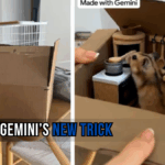 Google Gemini's New Trick: Turn Photos Into Videos